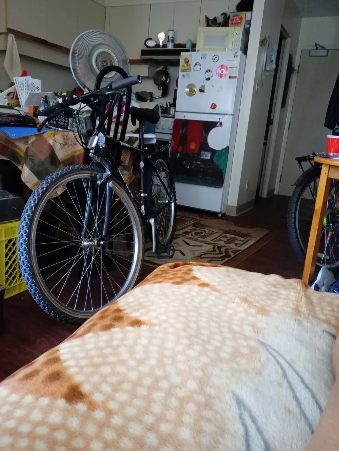 Norco Bigfoot Mountain Bike.Size 18