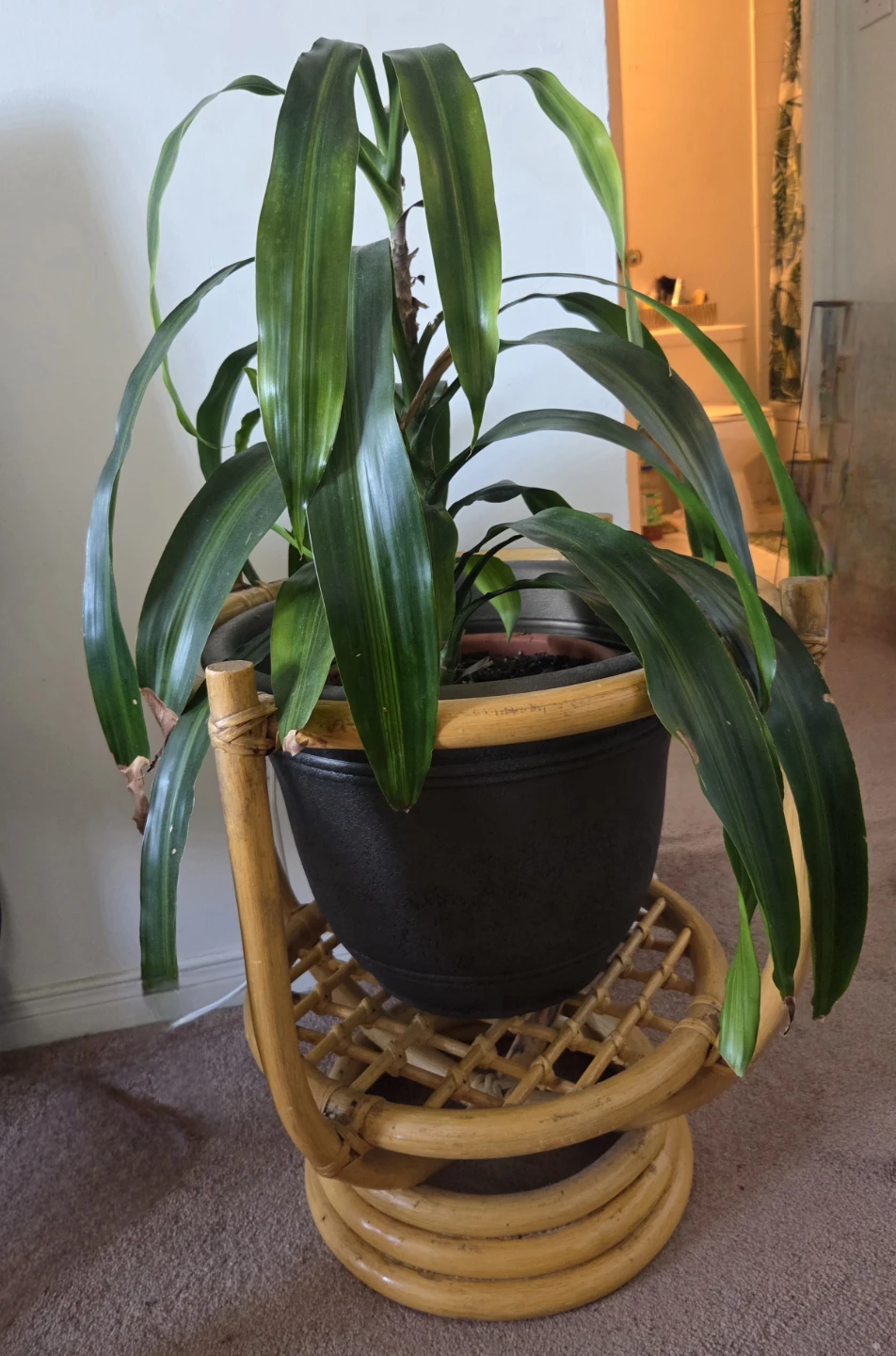 Large Bamboo Antique Planter! - photo 2
