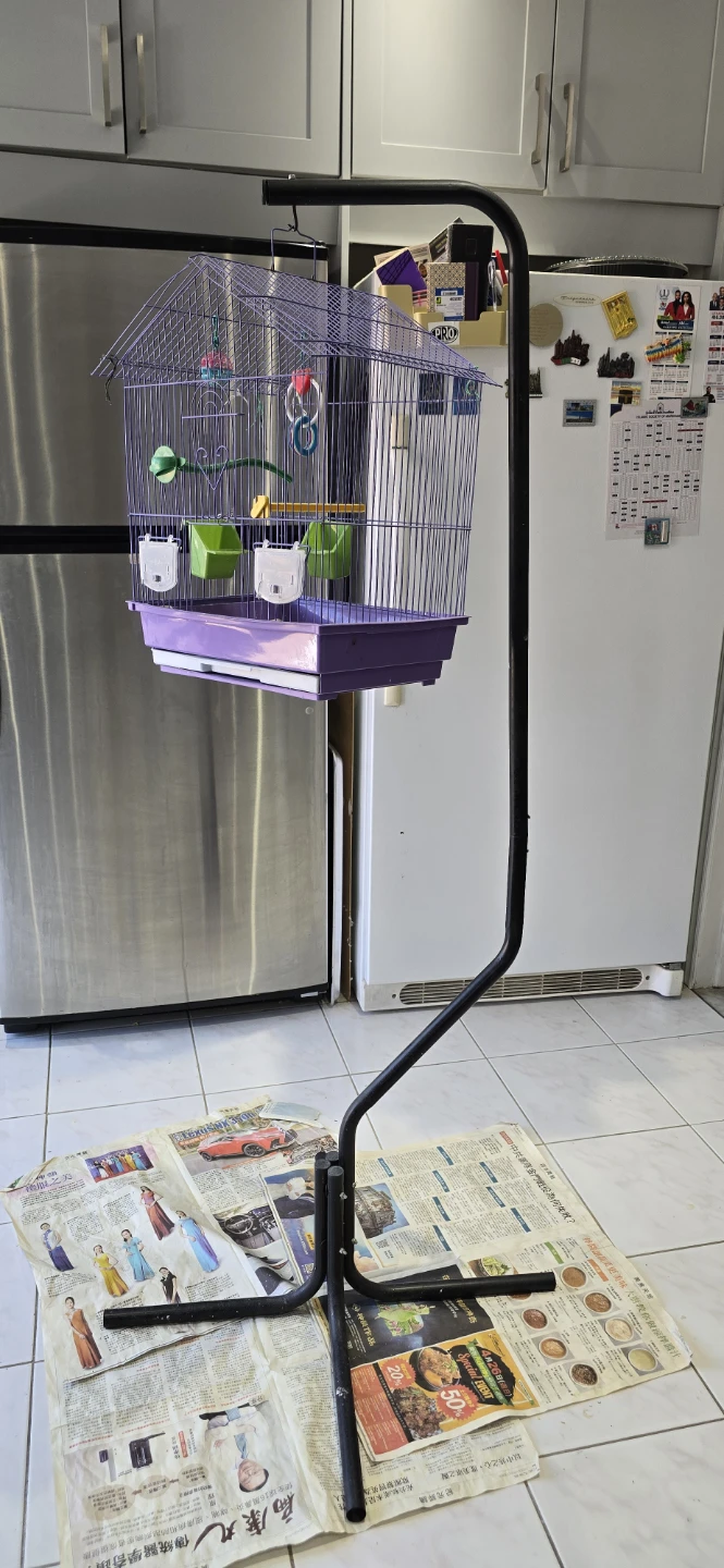 Purple Bird Cage with Stand