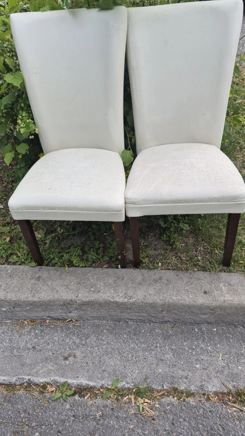 Set of 2 Dining Chairs