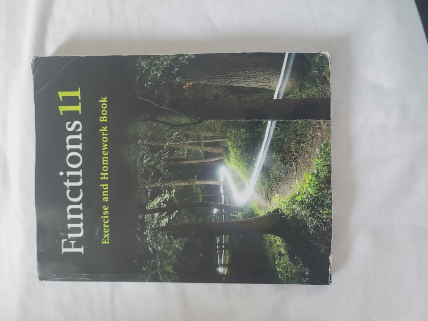 Functions 11 Exercise and Homework Book Nelson