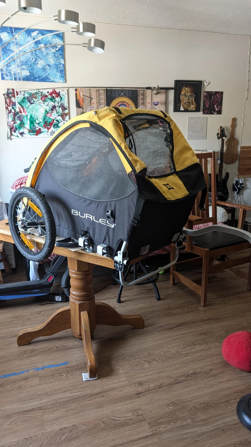 Burley Kids Bike Trailer/Stroller