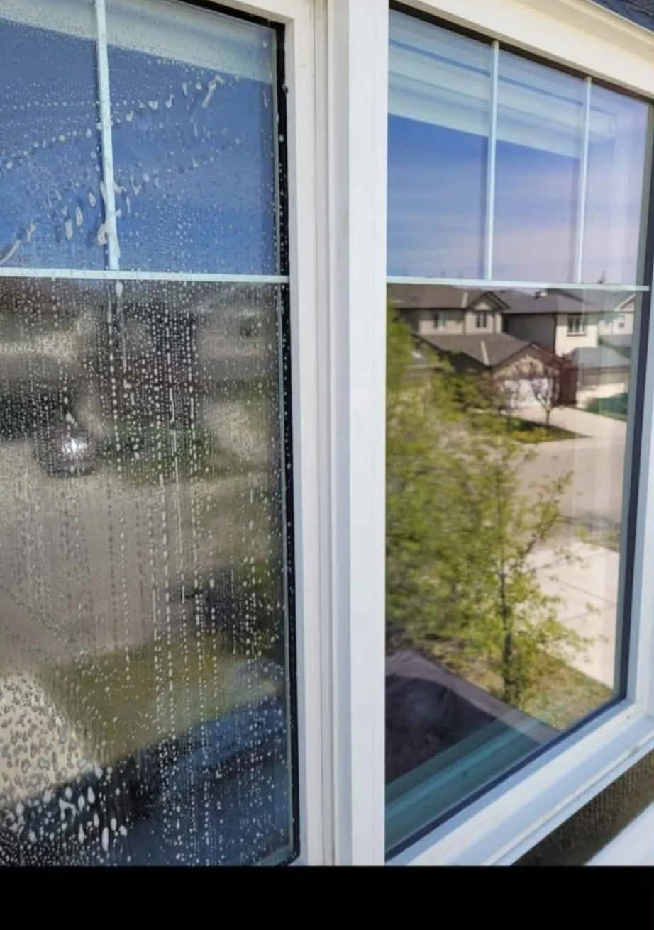 Affordable Professional Window Cleaning!