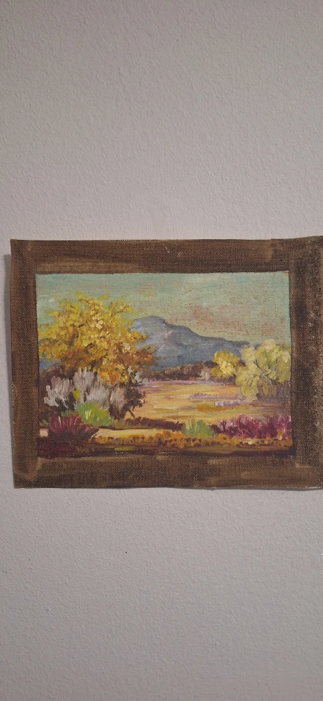 Framed Landscape Oil Painting