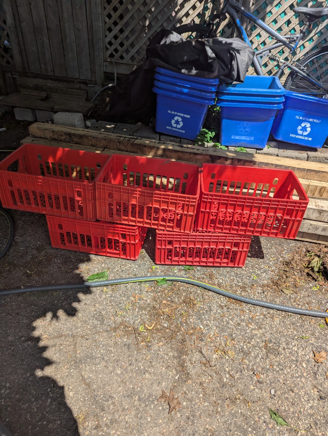 Coca cola plastic crates