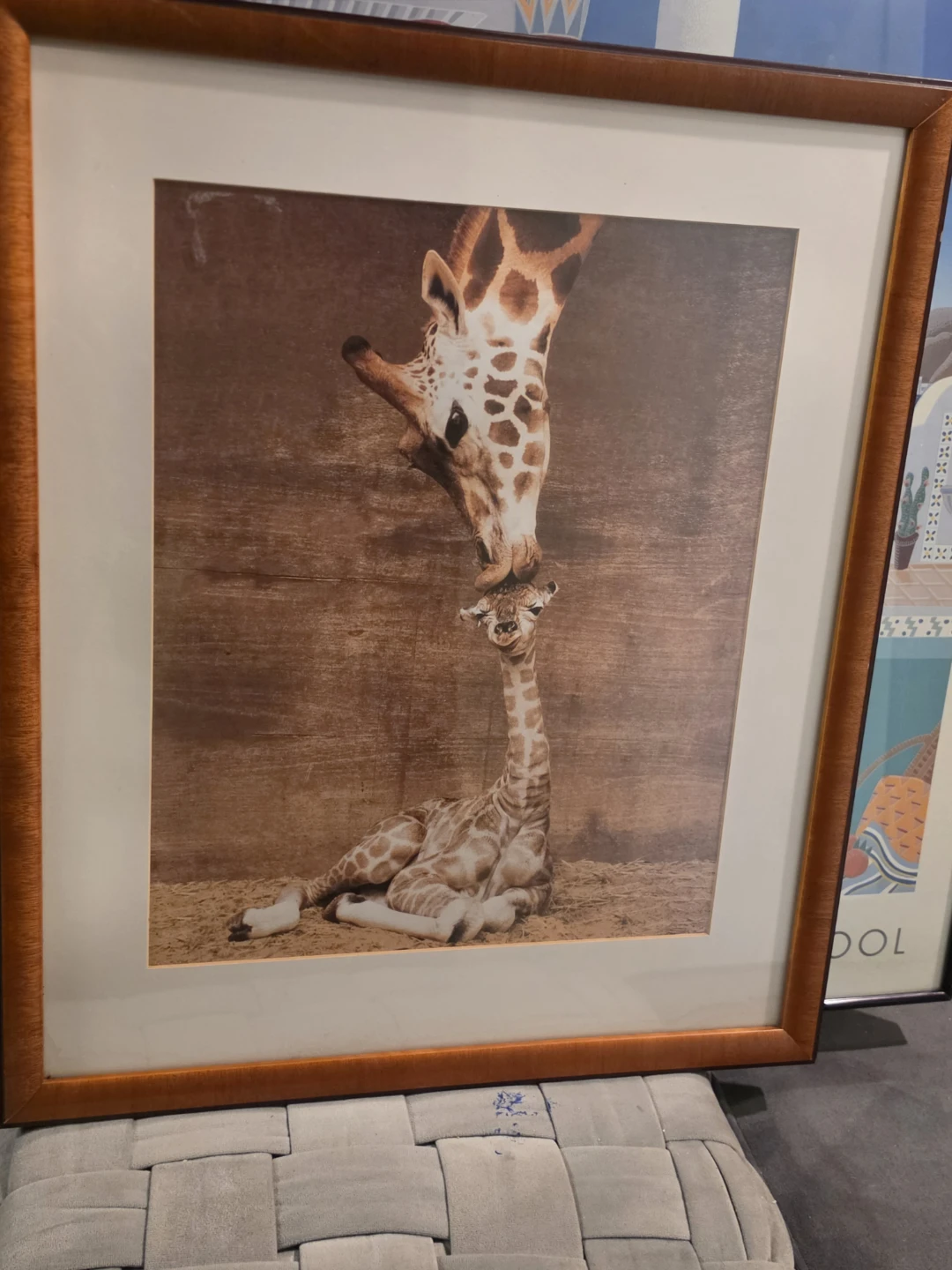 Framed Giraffe Art Print - Mother and Baby