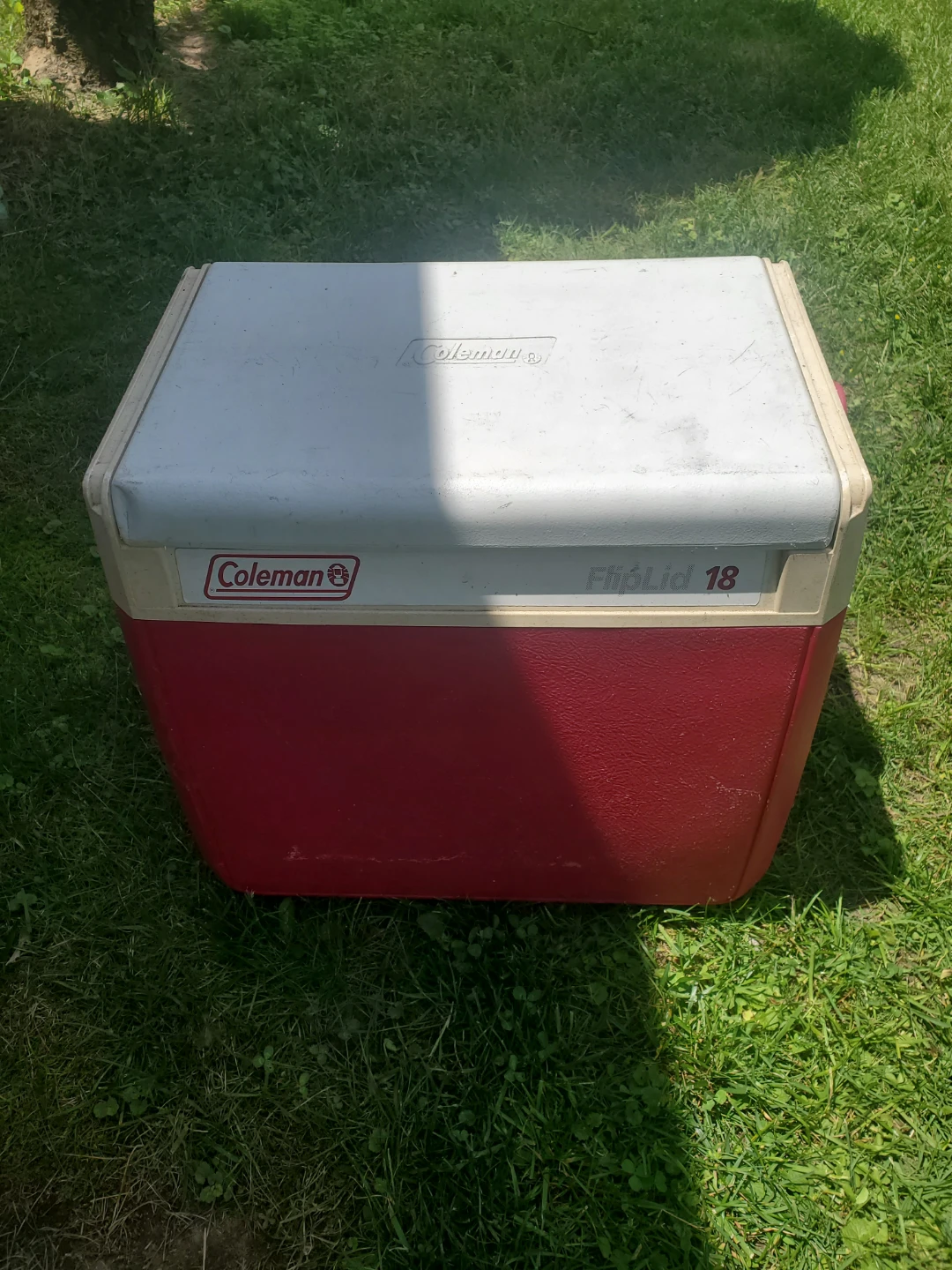 SMALL COLEMAN COOLER