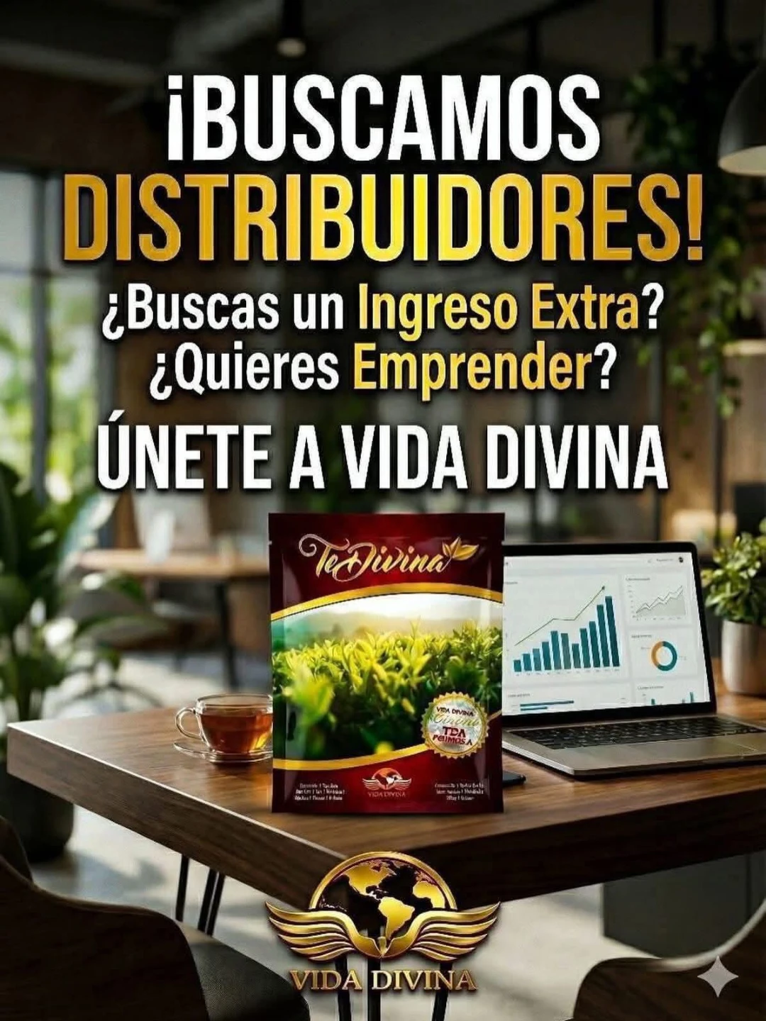 Vida Divina Te Divina Herbal Tea