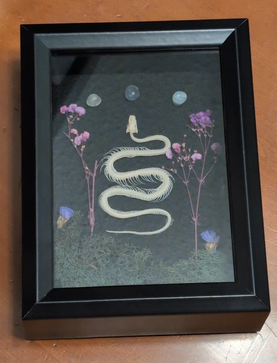 Mourning Bloom ( Handcrafted Snake Skeleton Shadow Box ) - photo 4