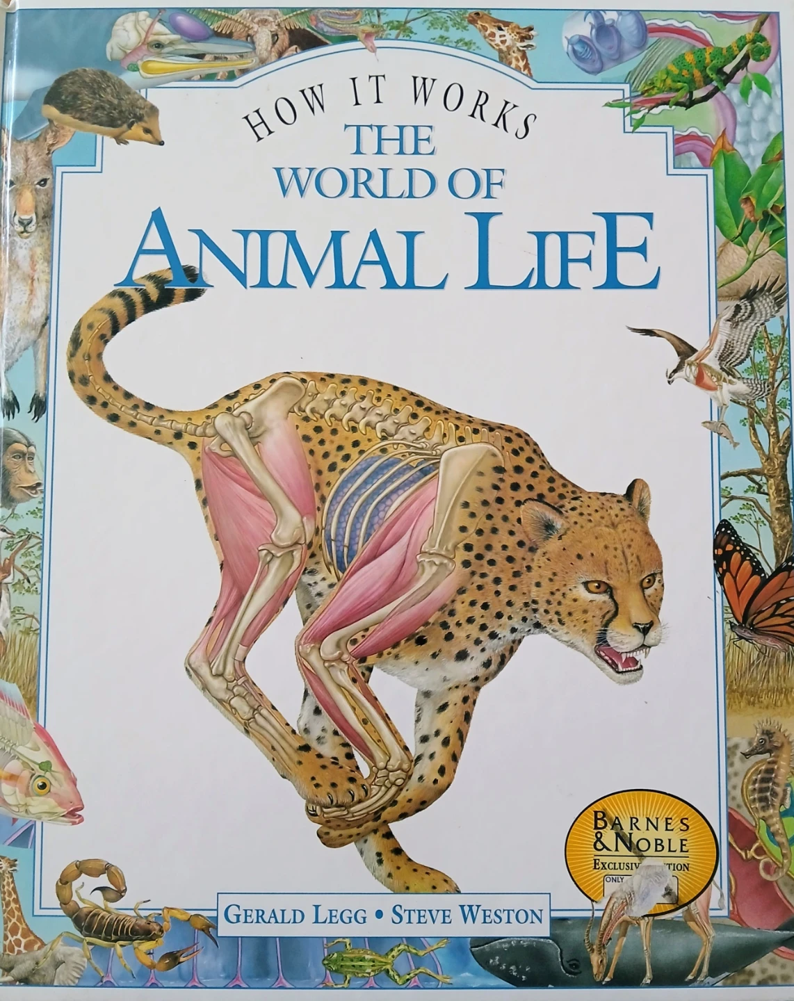 How It Works: The World of Animal Life Book