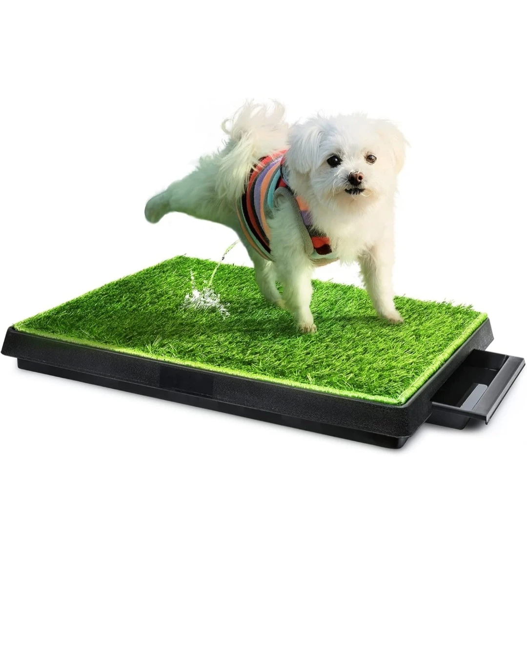3-Piece Pet Potty Training System for Dogs - photo 3