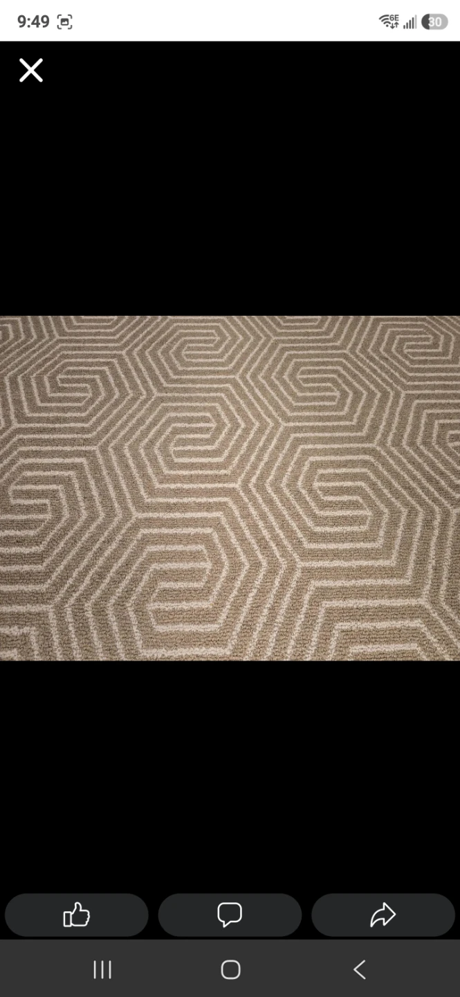 NEW 4x6 BERBER AREA RUG from WAYFAIR