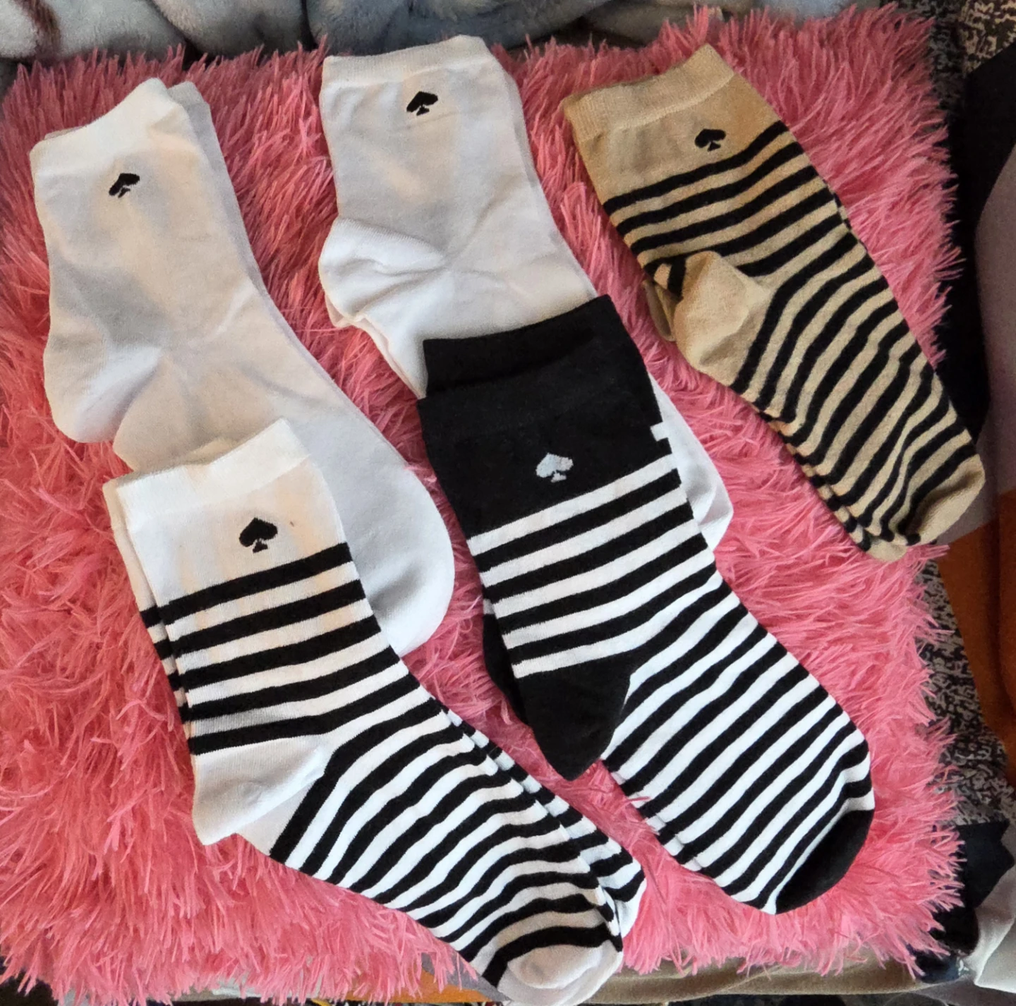 Kate Spade Socks Set (Brand New)