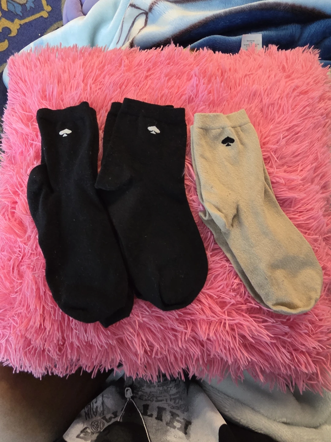 Kate Spade Socks Set (Brand New) - photo 2