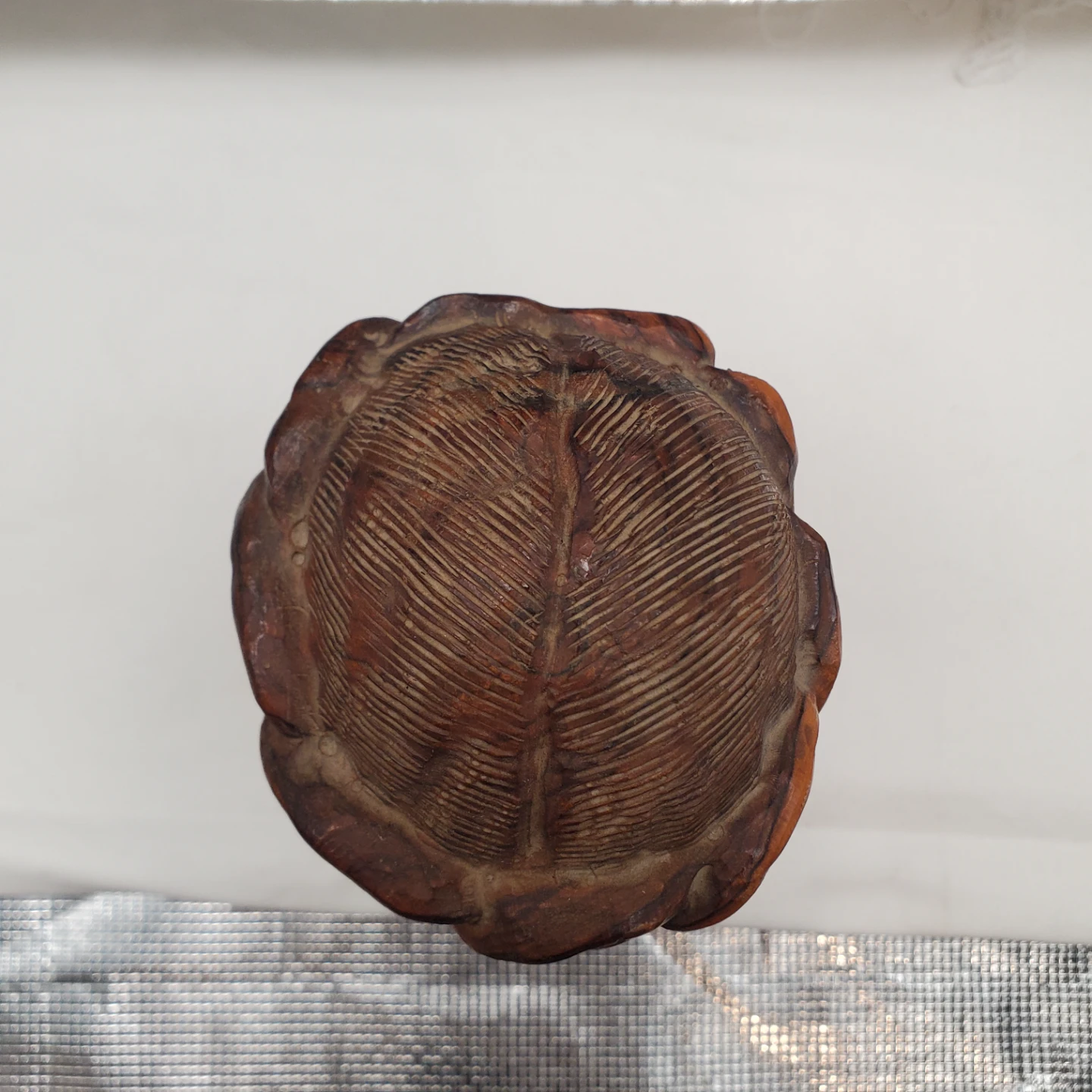 Wooden Carving of Jesus' Head - photo 2