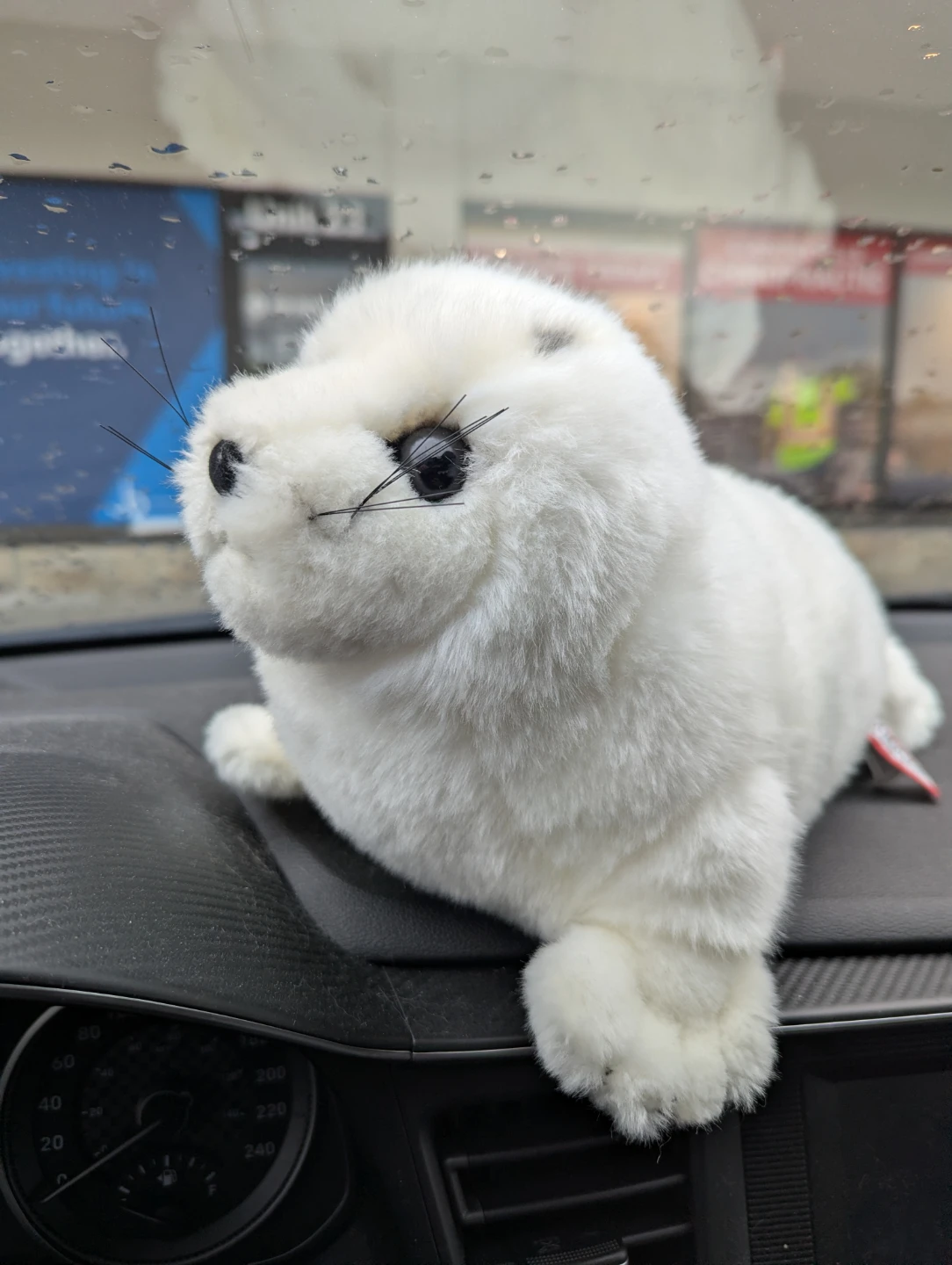 Douglas Plushies
