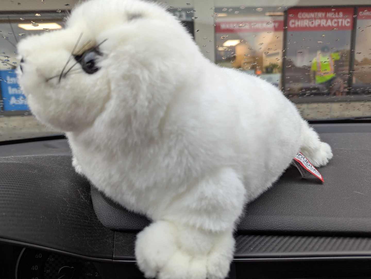 Douglas Plushies - photo 2
