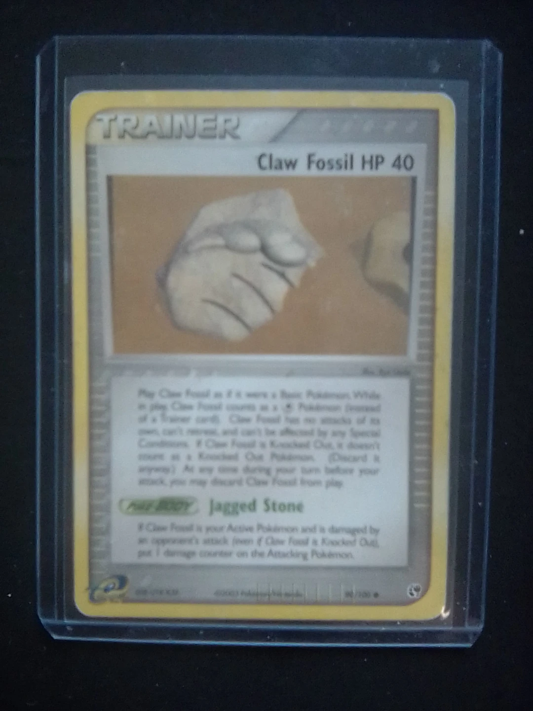 Pokemon Trading Card Lotad