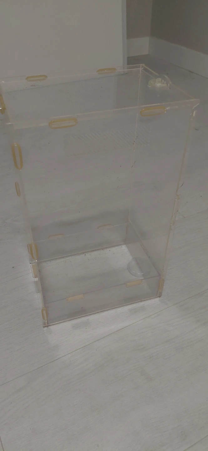 Clear Acrylic Display Case / Terrarium - photo 2