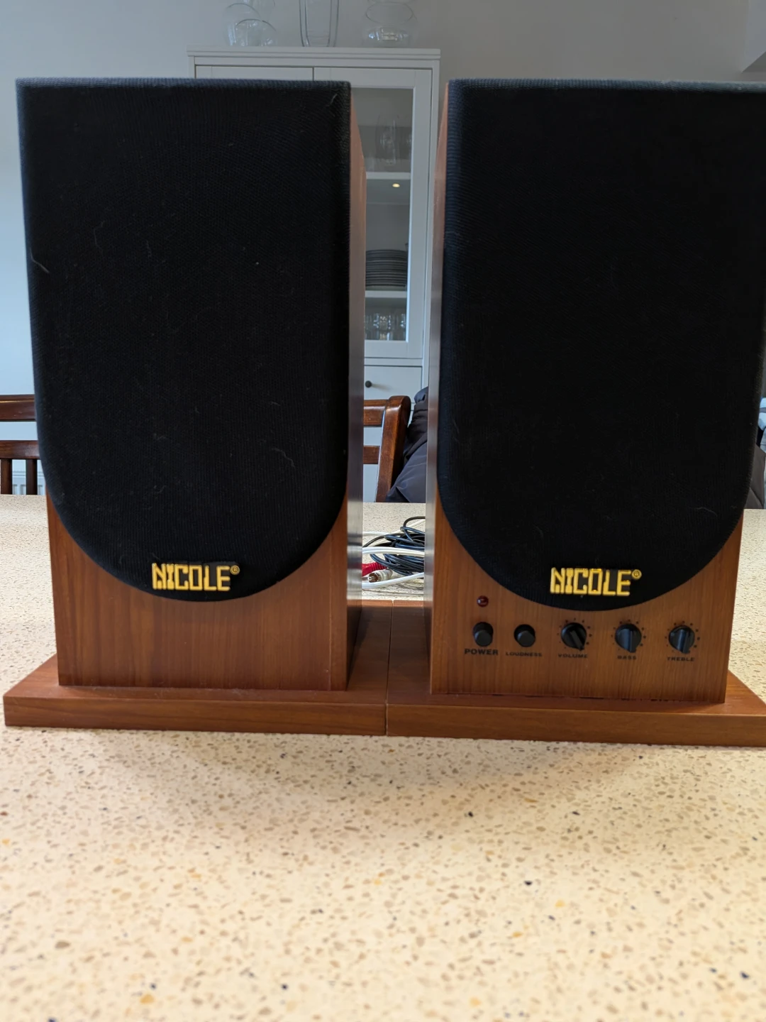 Nicole Speakers