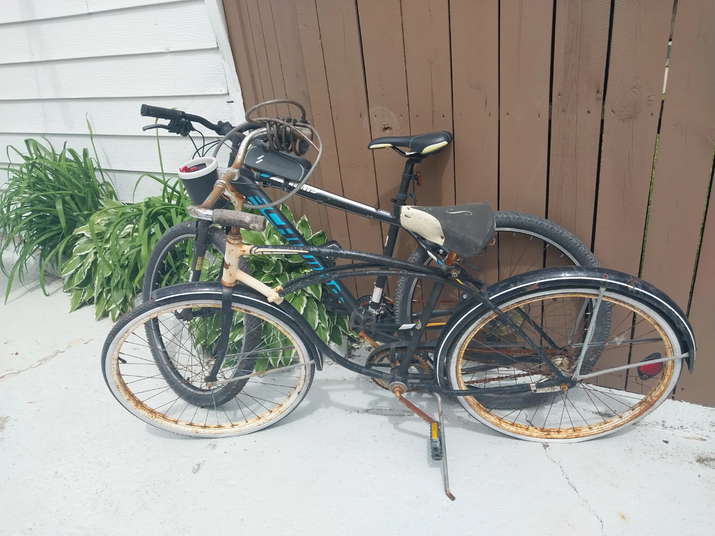 Vintage Bicycle