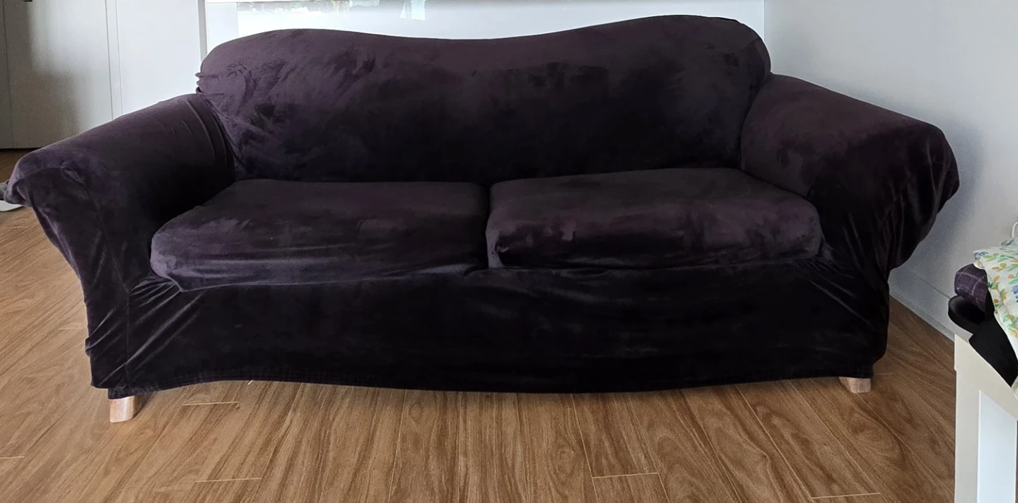 Move Out Sale! Sofa with pull out bed - photo 2
