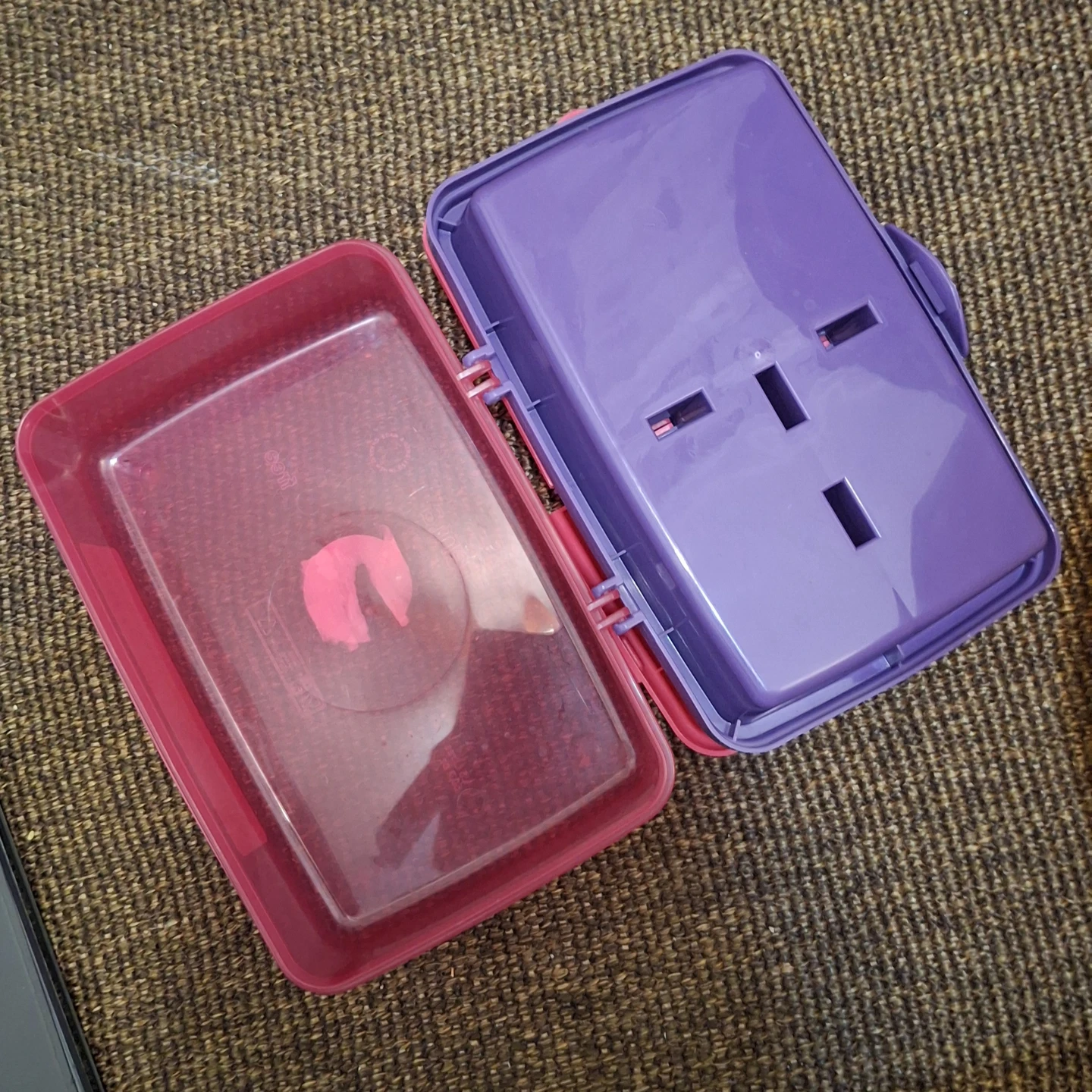 Pink and Purple Bento Box - photo 2