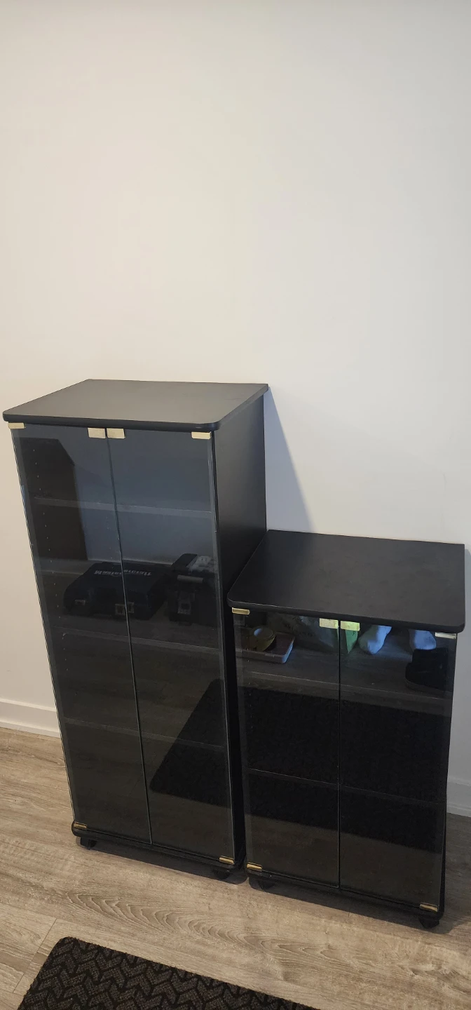Black Storage Cabinets with Glass Doors