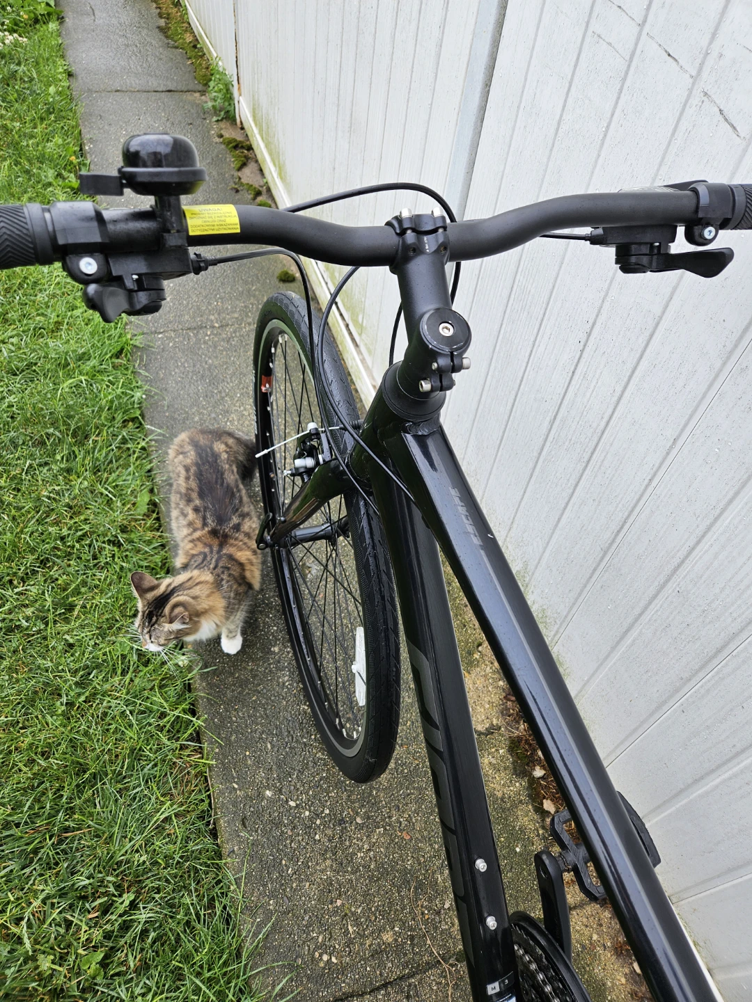 Giant Hybrid Bike - photo 4