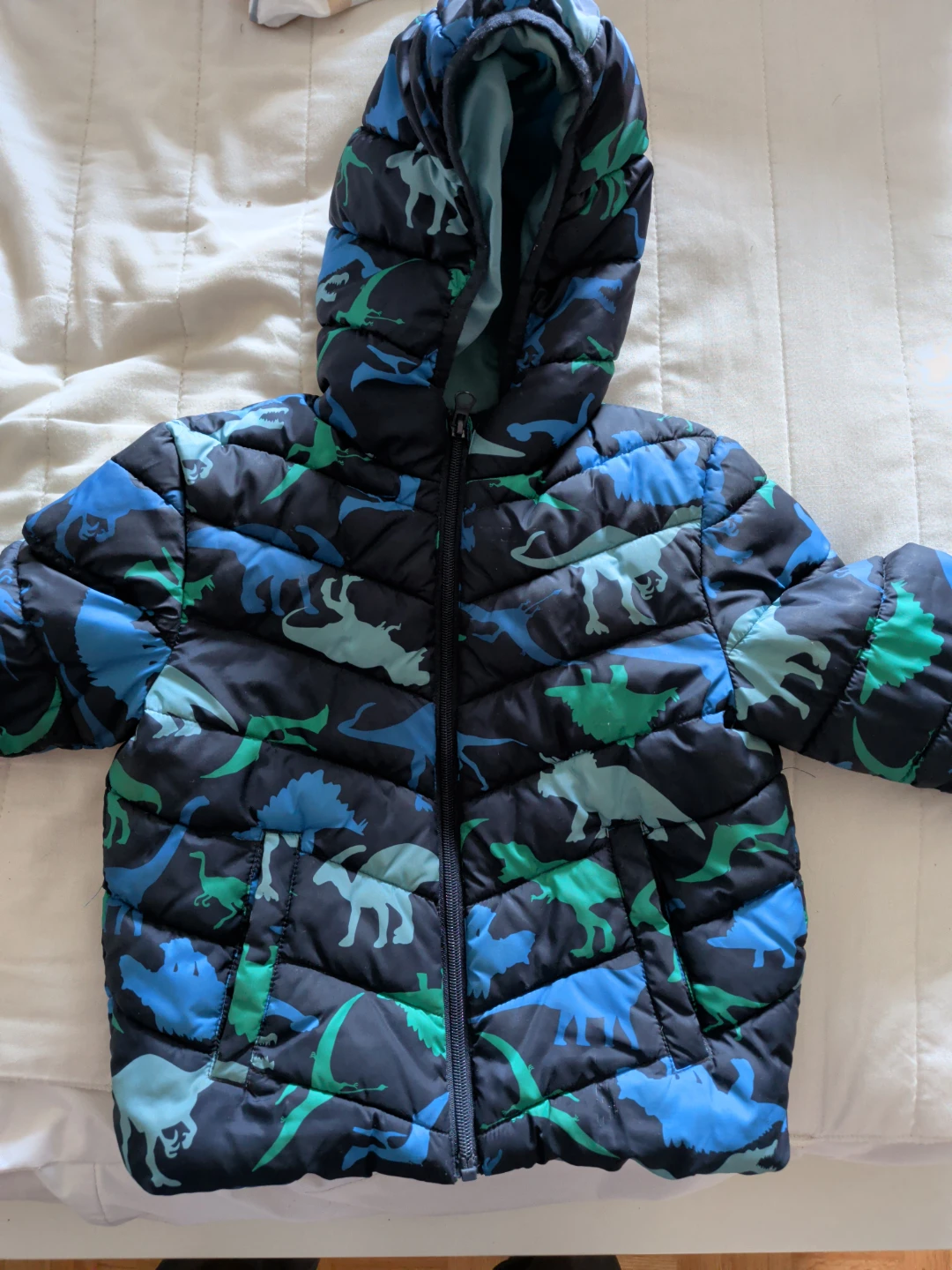 Kids Dinosaur Puffer Jacket 5T