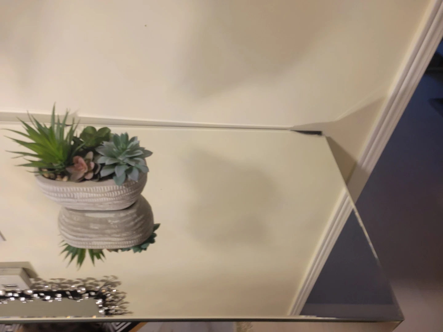 Mirrored Console Table with Faux Succulents - photo 3