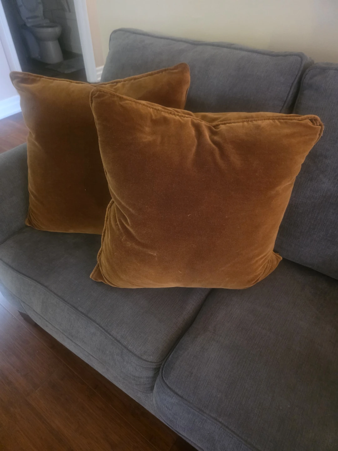 Two brown velvet throw pillows
