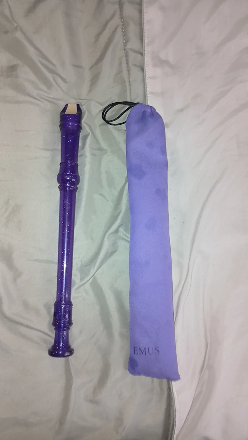 Purple Recorder with EMUS Case - photo 2