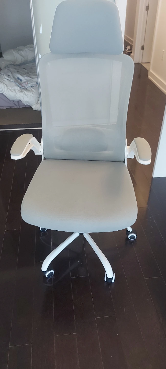 Grey Mesh Office Chair with White Frame