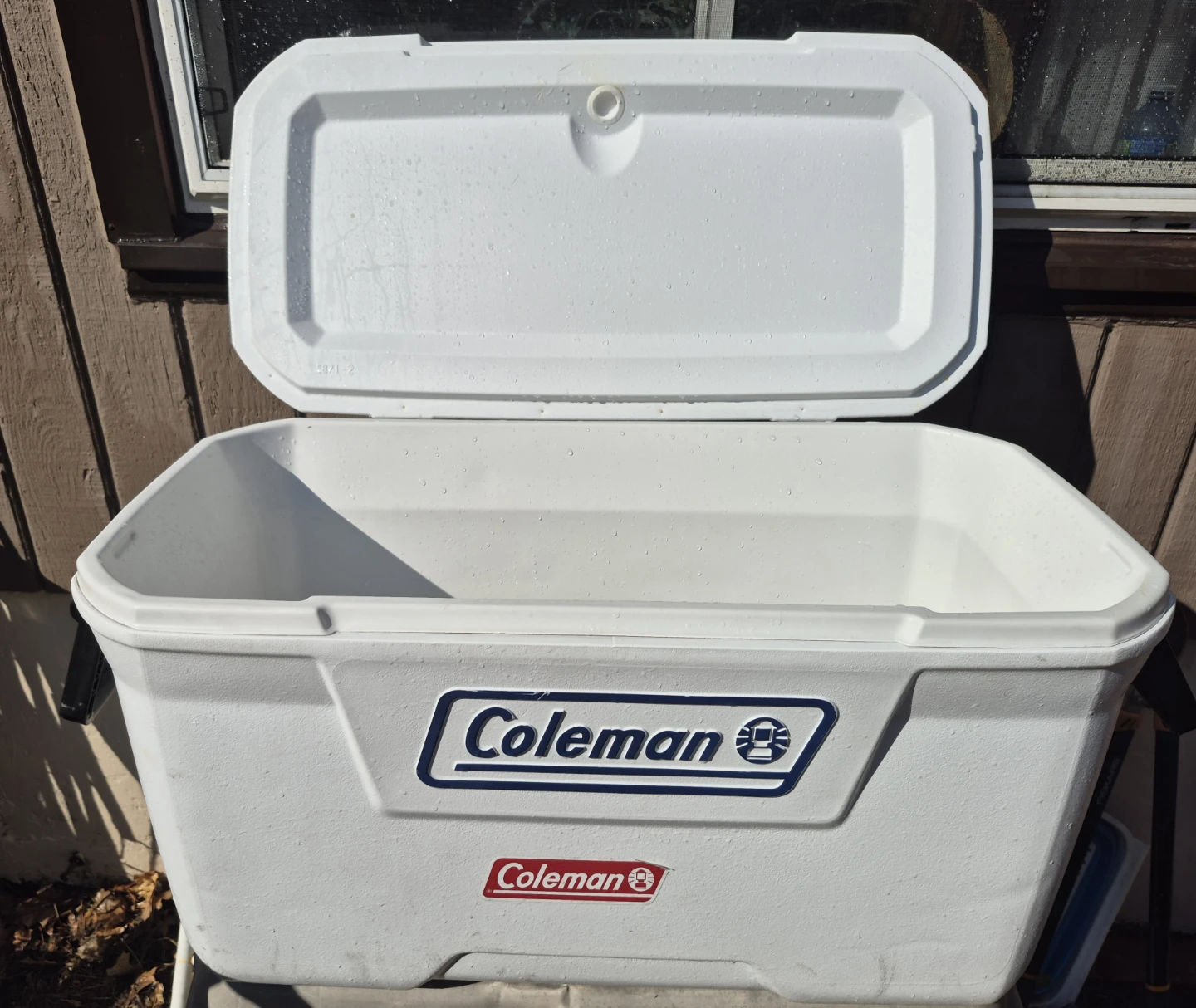 Coleman Cooler