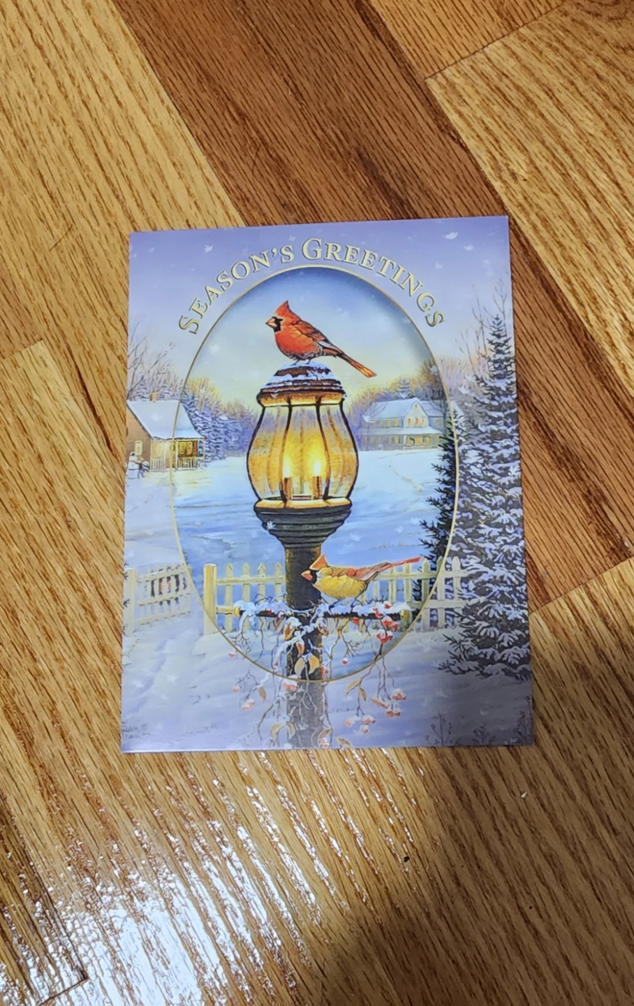 Season's Greetings Card with Cardinals⚽