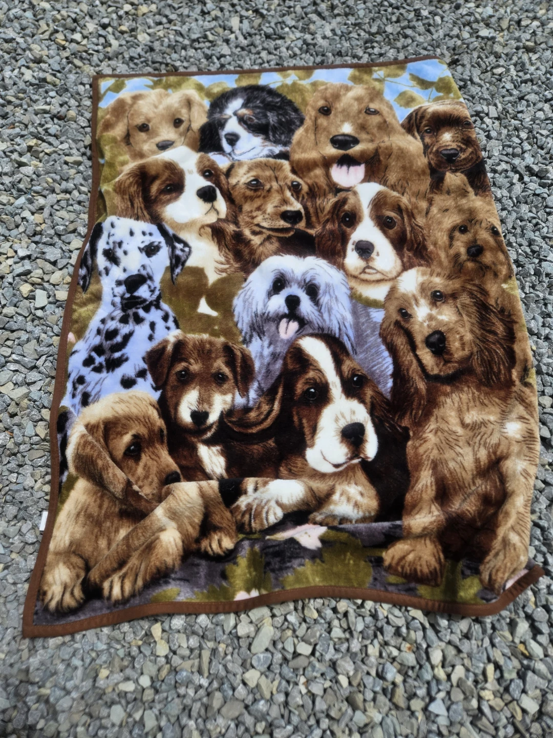 Dog blanket and 2 S/M Hoodie Set