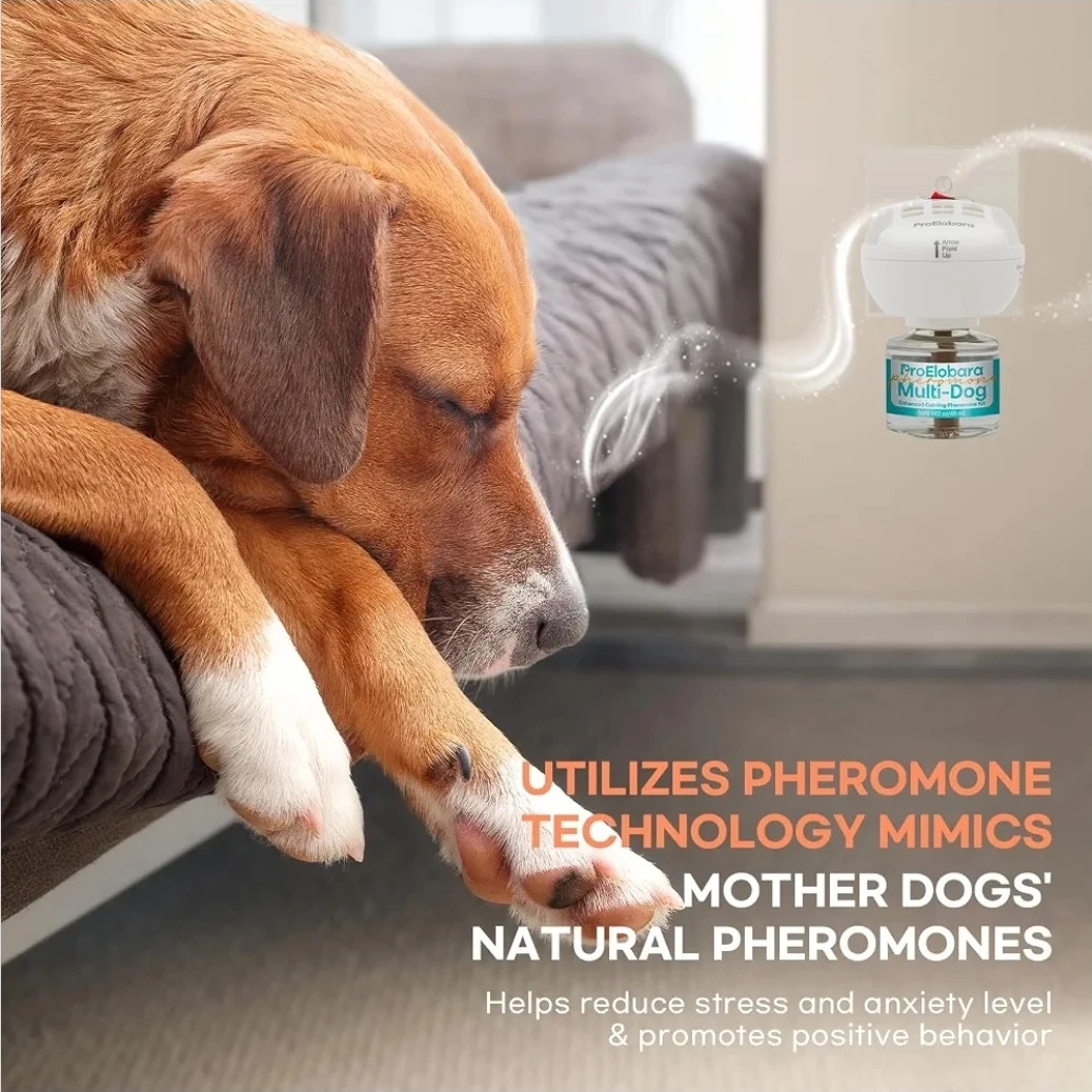 Multi-Dog Calming Diffuser - photo 3