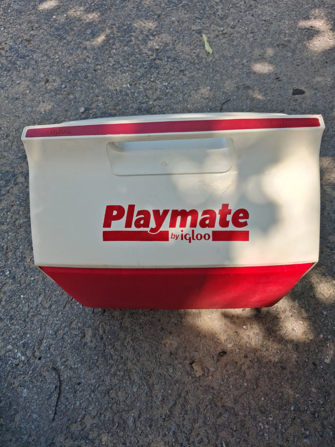 COOLER -Igloo Playmate