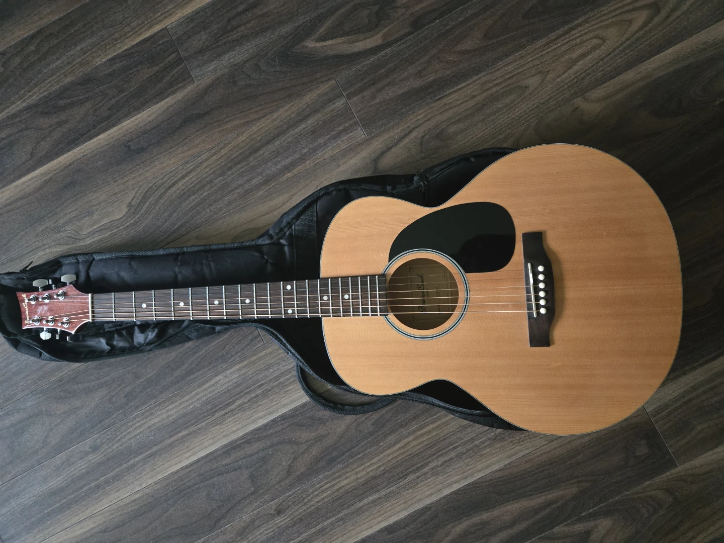 Bear Creek Acoustic Guitar with Gig Bag