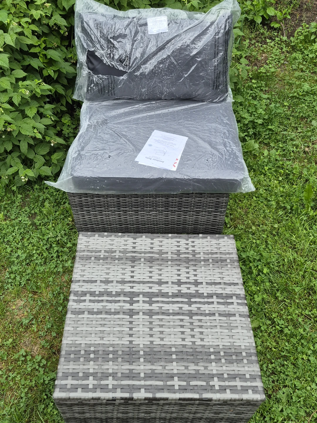 Outdoor Wicker Chaise Lounge with Cushions
