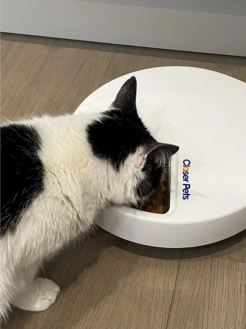 Closer Pets Five-Meal Automatic Pet Feeder - photo 3