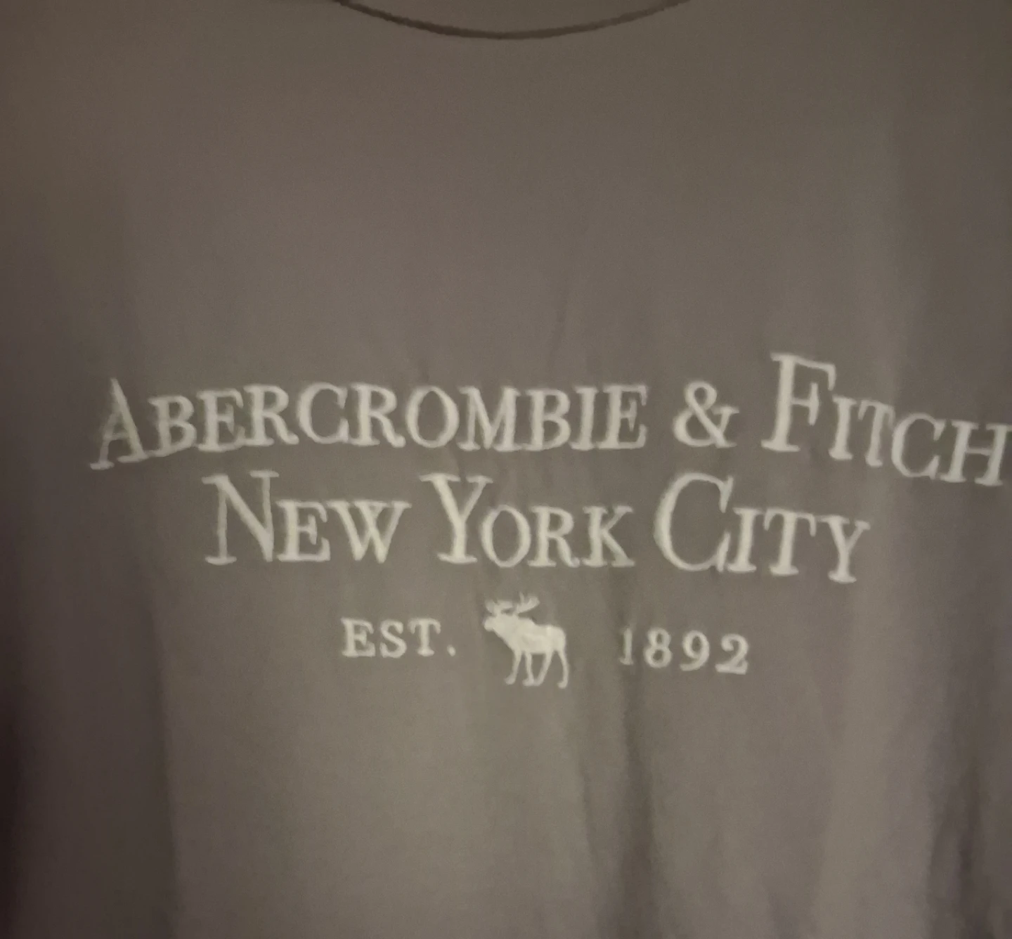 Abercrombie & Fitch "New York City" T-Shirt - photo 2