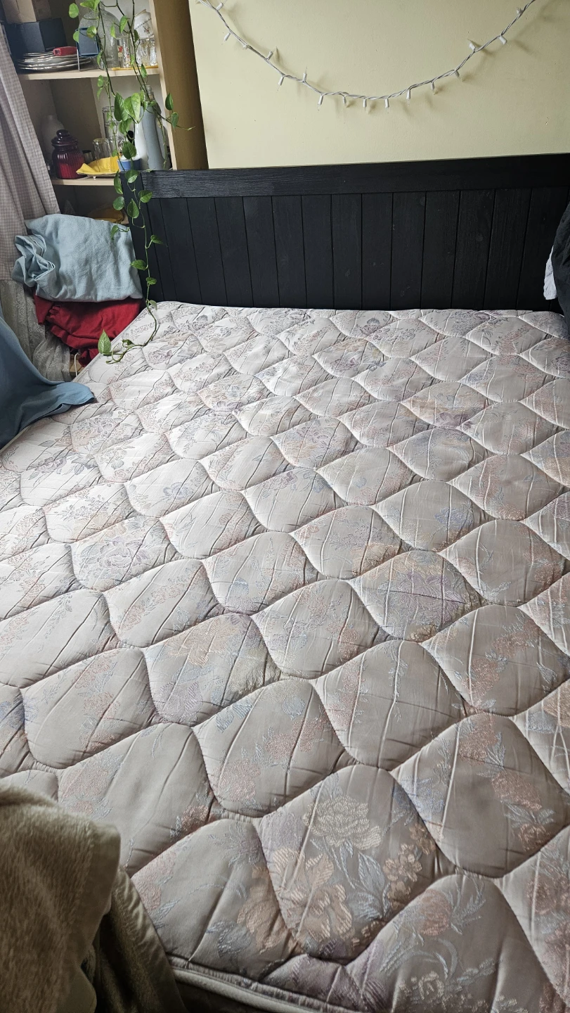 IKEA FÄGELFJÄLLET Queen Bed Frame and Mattress
