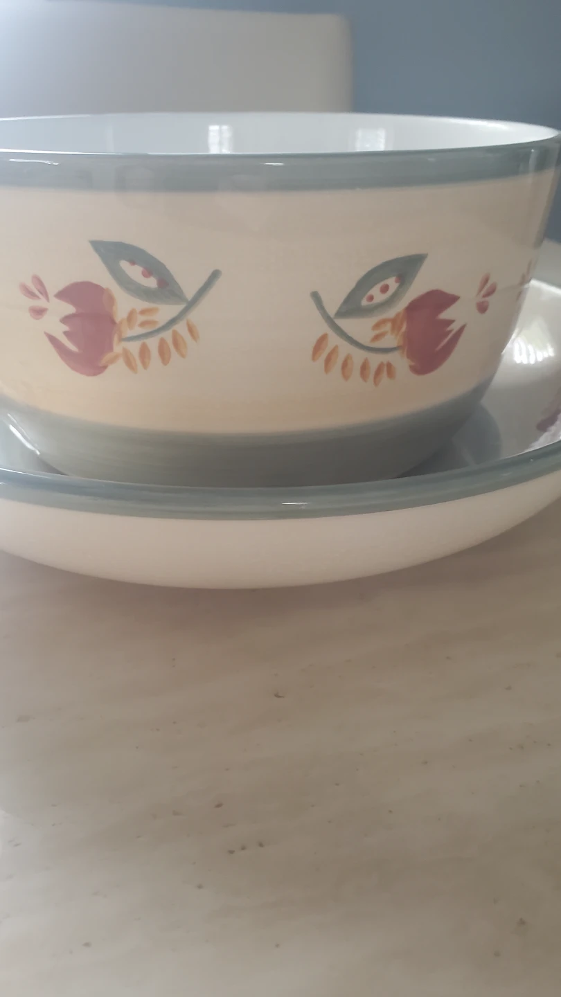 Decorative Ceramic Bowl and Plate Set - photo 3