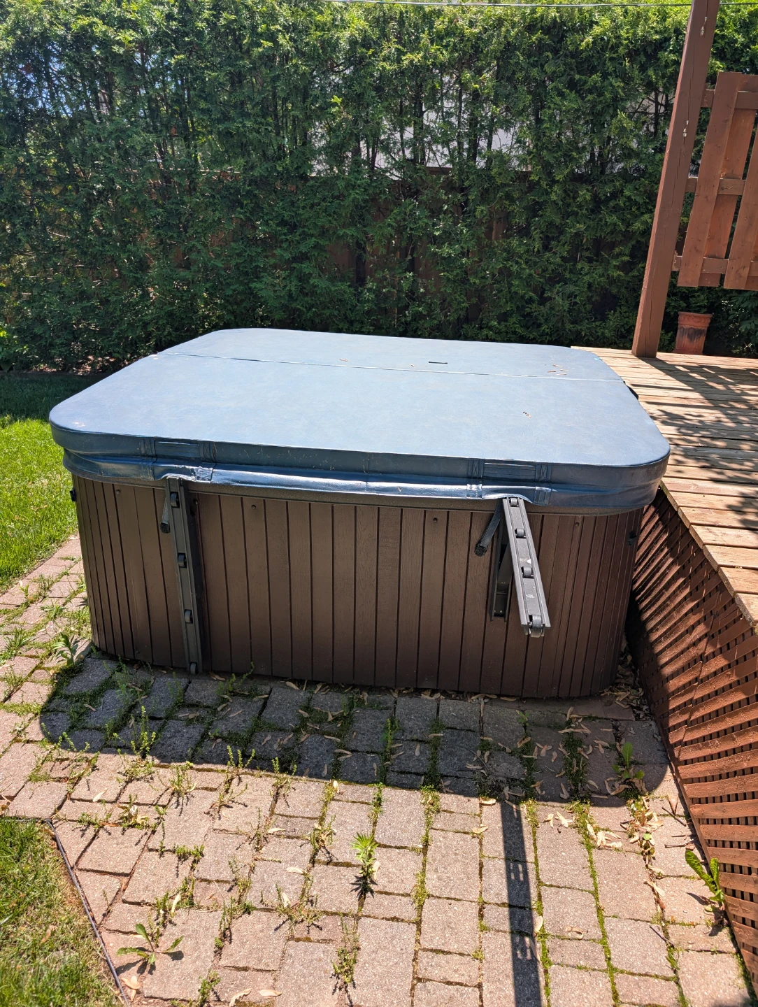 Hot Tub with Cover - photo 2