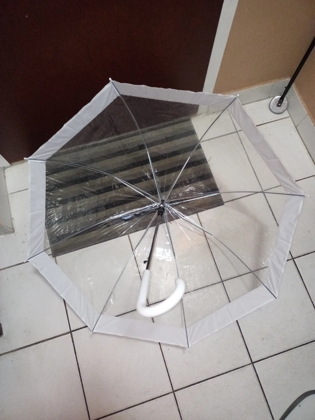 Clear Umbrella