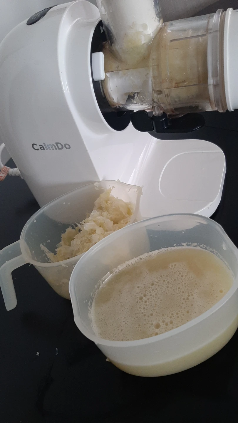 CalmDo White Juicer - photo 4