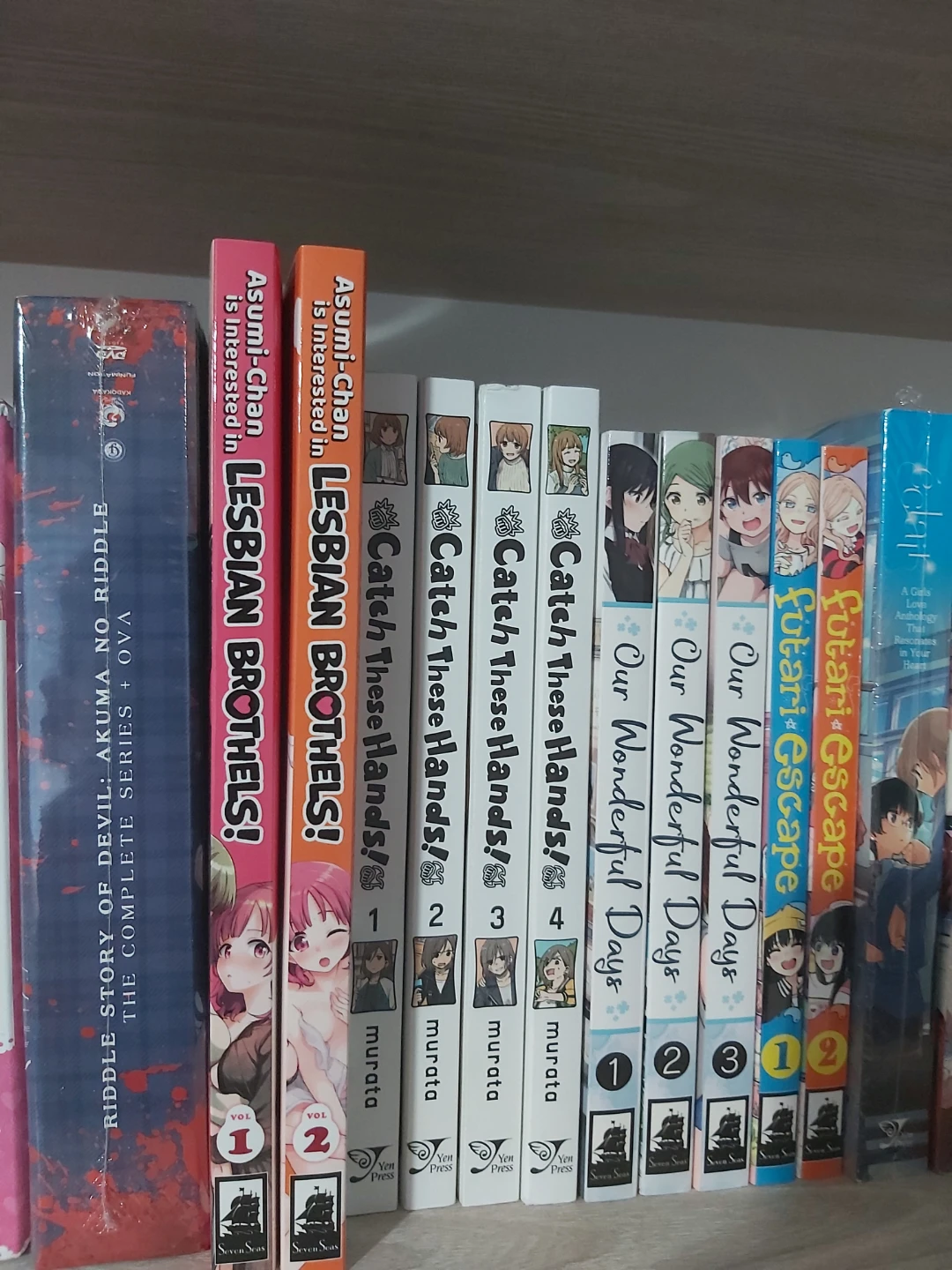 Yuri Manga Mega Lot - photo 4