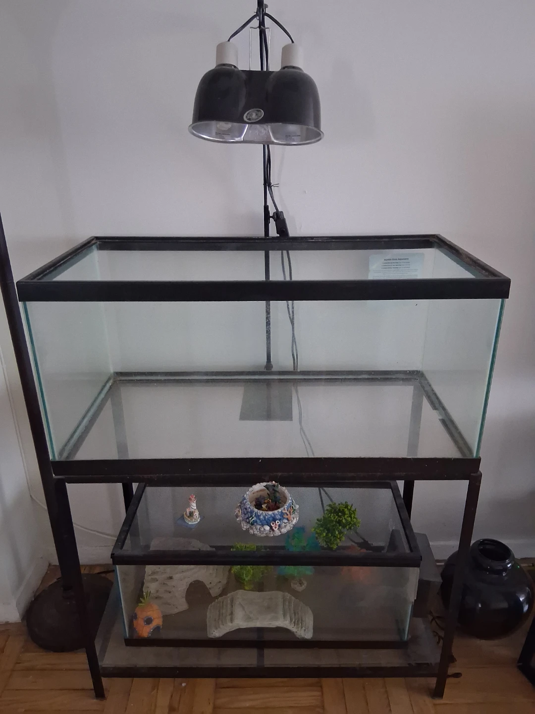 40 gallon fish tank with filter and  Dual Dome Lamp